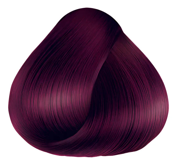 Anven 5.7 ciruela claro