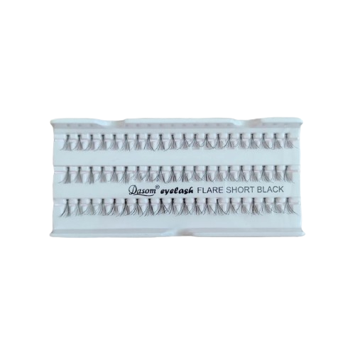 Dasom Pestaña Grupo S